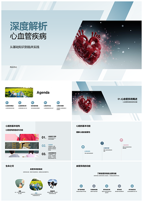 心血管疾病临床结构分类与疾病解析PPT模板