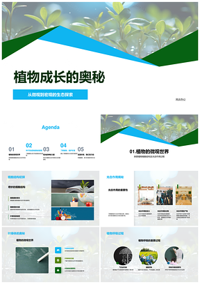 植物细胞光合作用叶绿素阳光环保绿化成长PPT模板