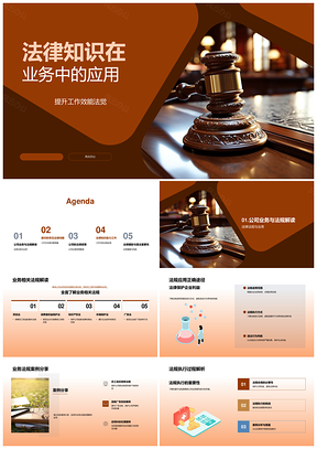 法律知识业务应用效能提升与法律问题PPT模板
