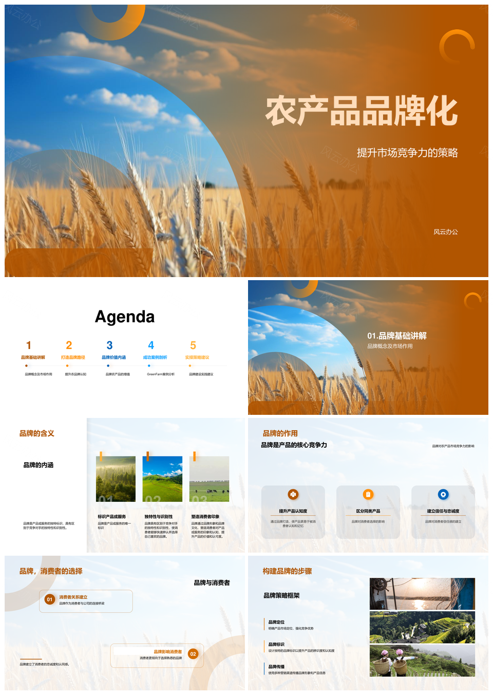 农产品品牌化策略提升市场竞争力与价值PPT模板
