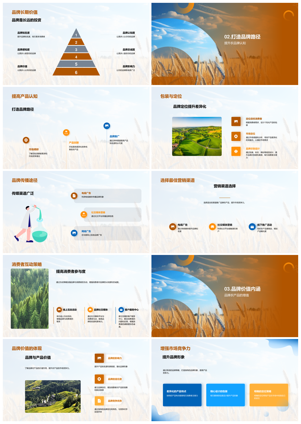 农产品品牌化策略提升市场竞争力与价值PPT模板