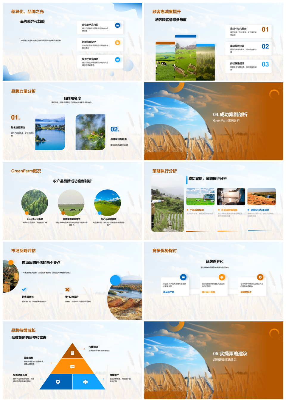 农产品品牌化策略提升市场竞争力与价值PPT模板