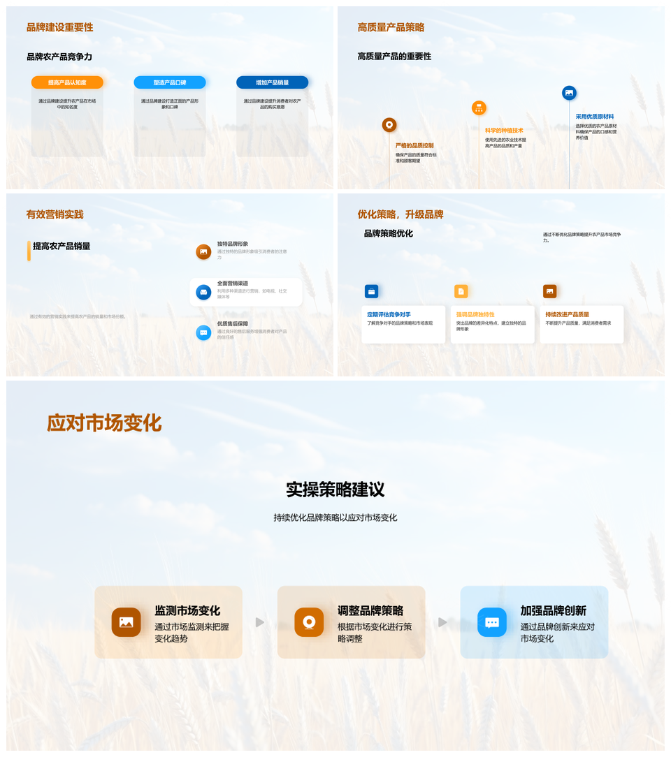 农产品品牌化策略提升市场竞争力与价值PPT模板