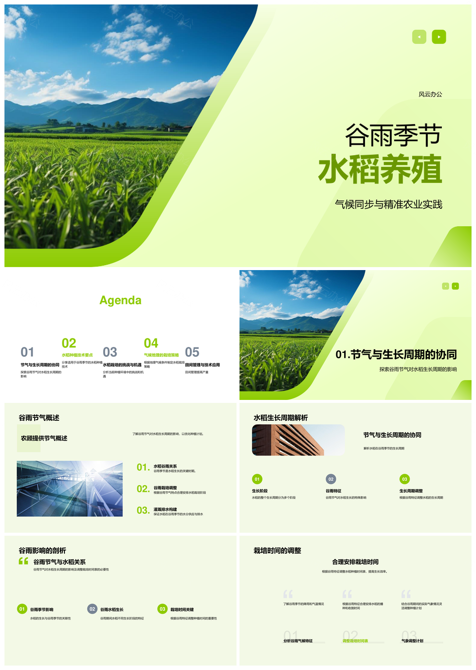 2025谷雨水稻精准农艺气候选种生长调控灌溉排水PPT模板