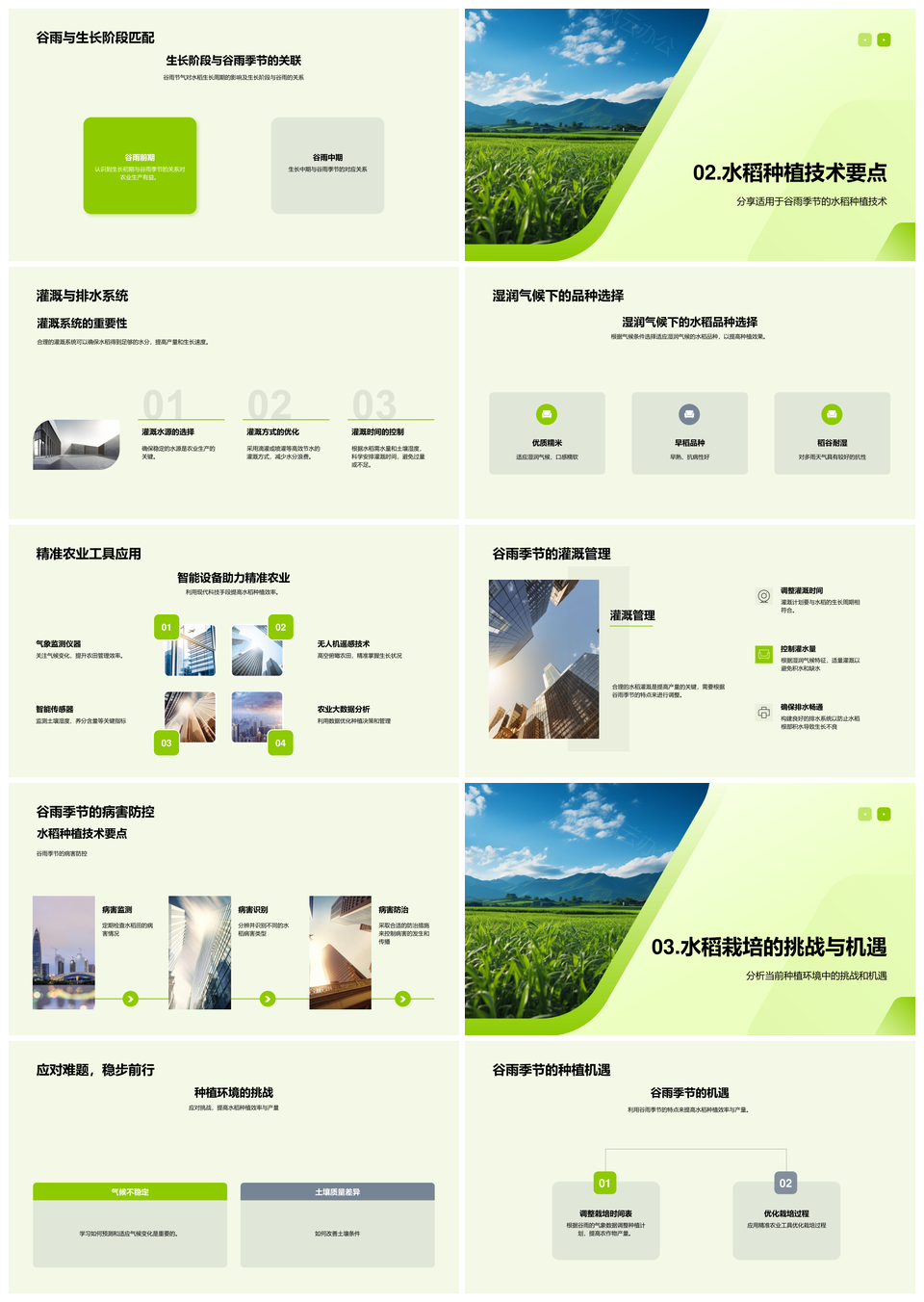 2025谷雨水稻精准农艺气候选种生长调控灌溉排水PPT模板