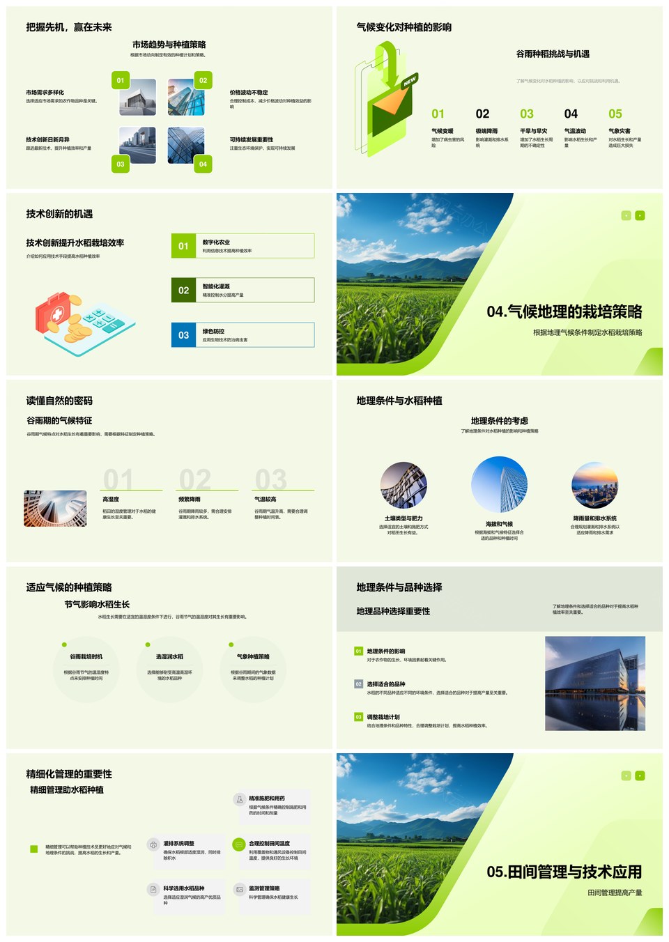 2025谷雨水稻精准农艺气候选种生长调控灌溉排水PPT模板