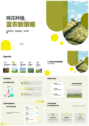 棉农合作社管理电商加工共享利益助富农PPT模板