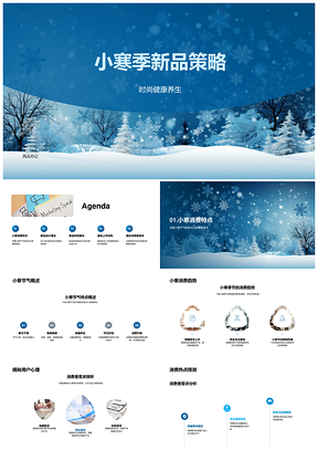 小寒季时尚养生保暖冬雪新品策略PPT模板