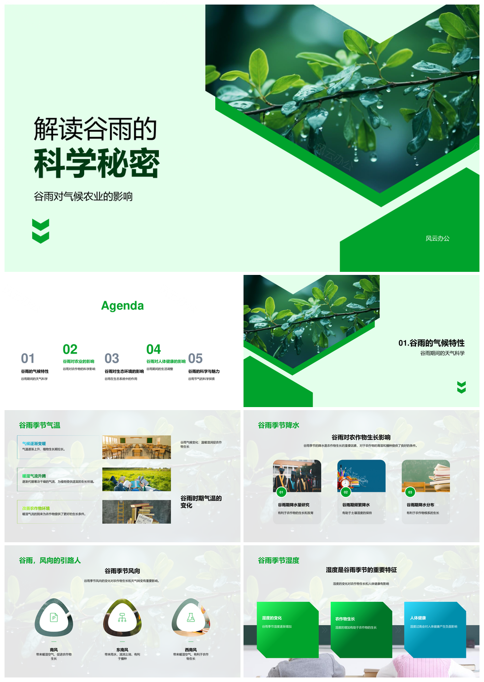 谷雨科学解密农业气候生态与作物健康PPT模板