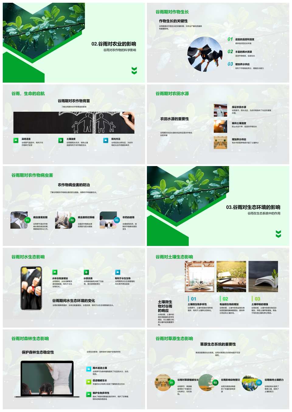 谷雨科学解密农业气候生态与作物健康PPT模板