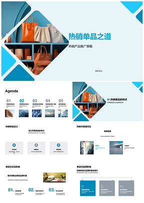 时尚热销单品研发推广策略电商趋势品质品牌提升PPT模板