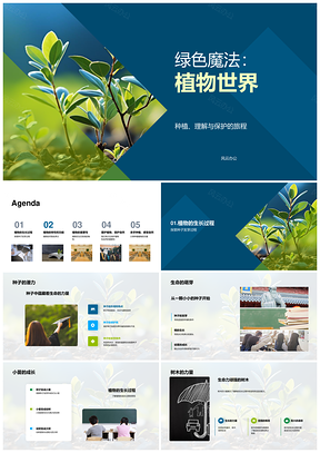 绿色魔法植物生长种植保护光合功能PPT模板