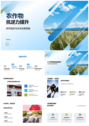 农作物抗逆力提升策略与小麦田实验研究PPT模板