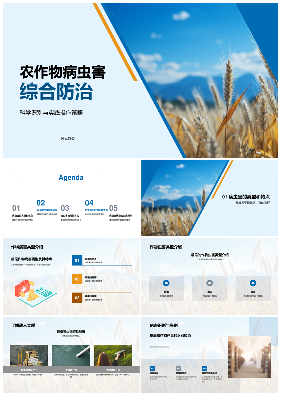 农作物病虫害综合防治识别气候土壤抗病施肥小麦PPT模板