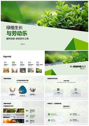 绿植播种养护乐享劳动之美PPT模板