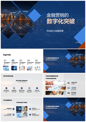 金融机构春节营销科技助力数字化突破PPT模板