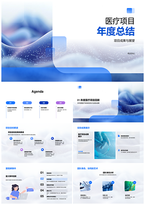 2025医疗项目年度成果协作突破总结展望PPT模板