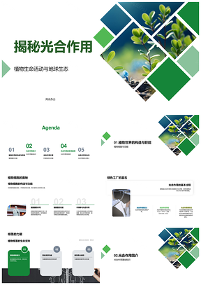植物细胞叶绿体光暗反应与温度影响解析PPT模板