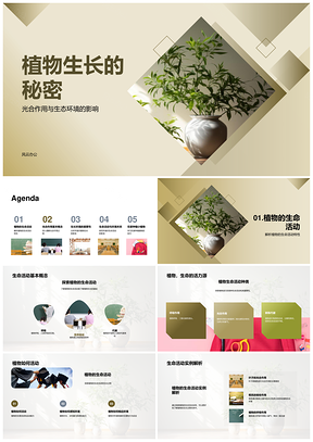 植物生长光合作用与家庭生态环境PPT模板