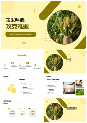 玉米种植技术助农应对气候变化病虫害选适应性品种PPT模板