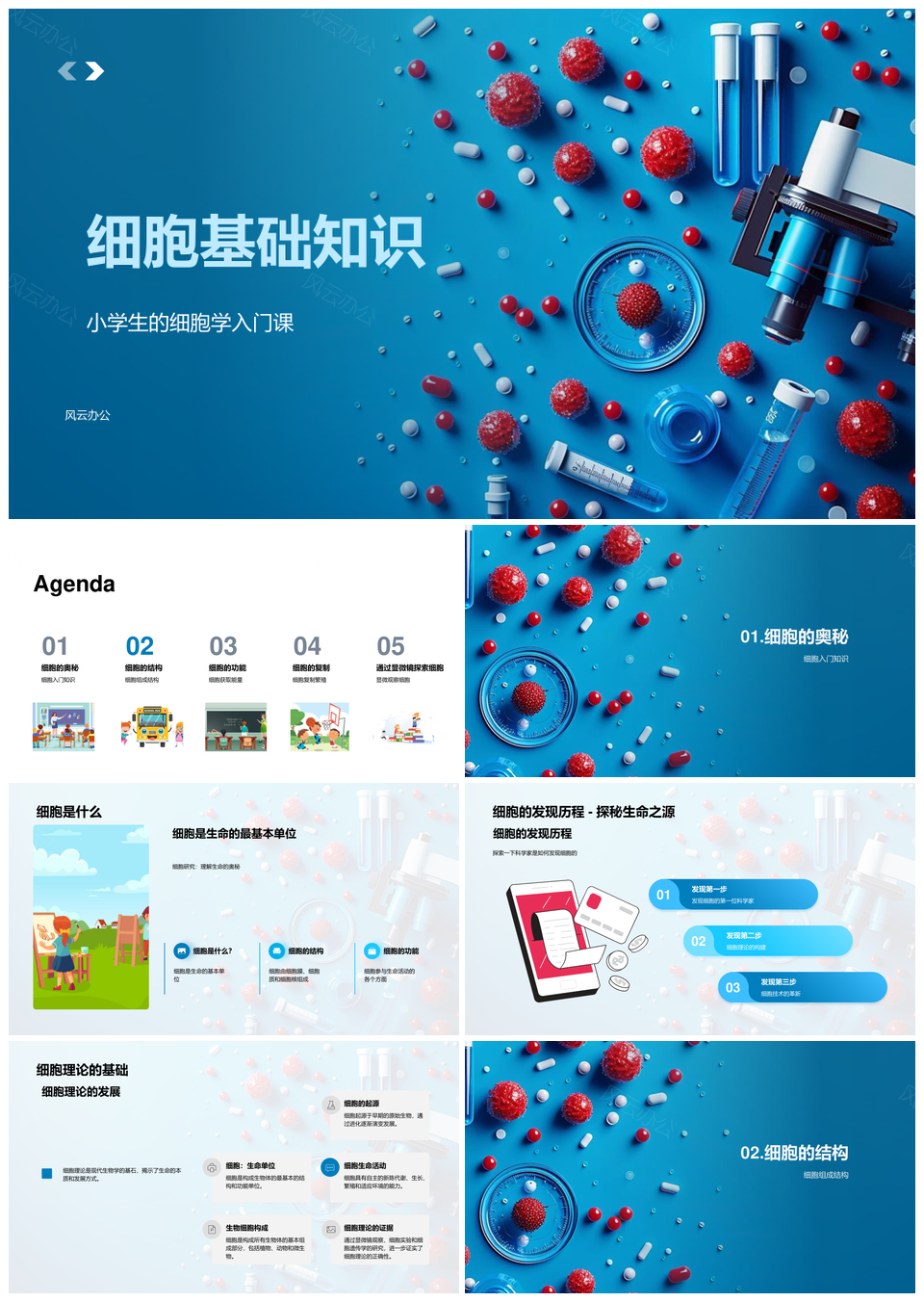 细胞基础理论组成功能能量获取生命活动分裂方式PPT模板