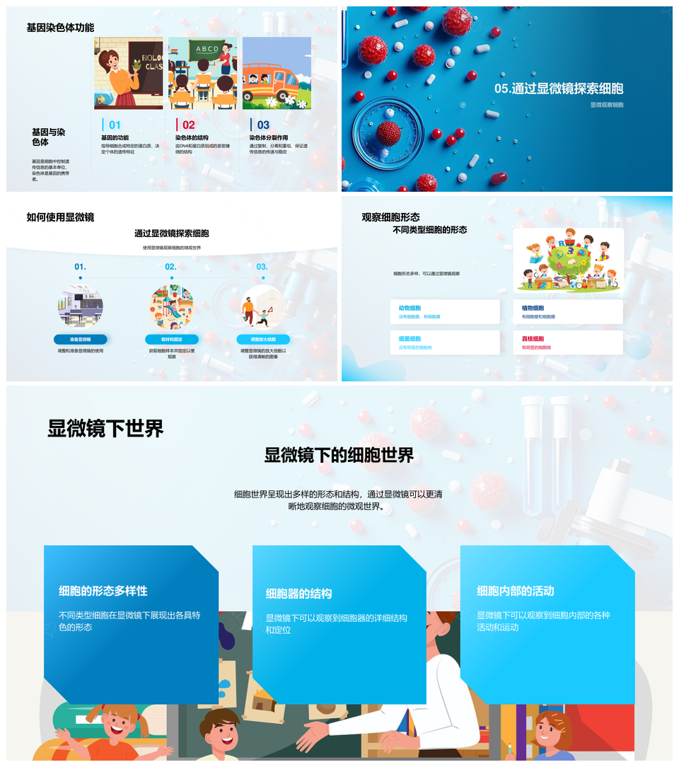 细胞基础理论组成功能能量获取生命活动分裂方式PPT模板