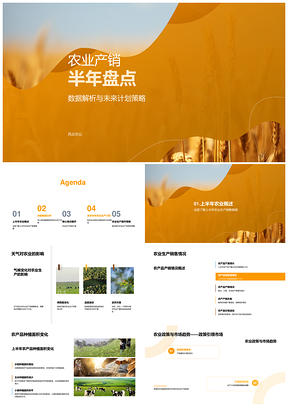 农业半年产销结构调整与风险预警培训PPT模板