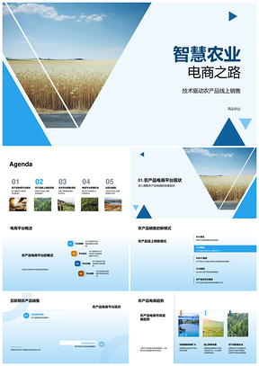 智慧农业电商智能营销与数据驱动PPT模板