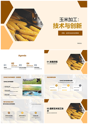 玉米加工技术创新突破与应用历史起源PPT模板