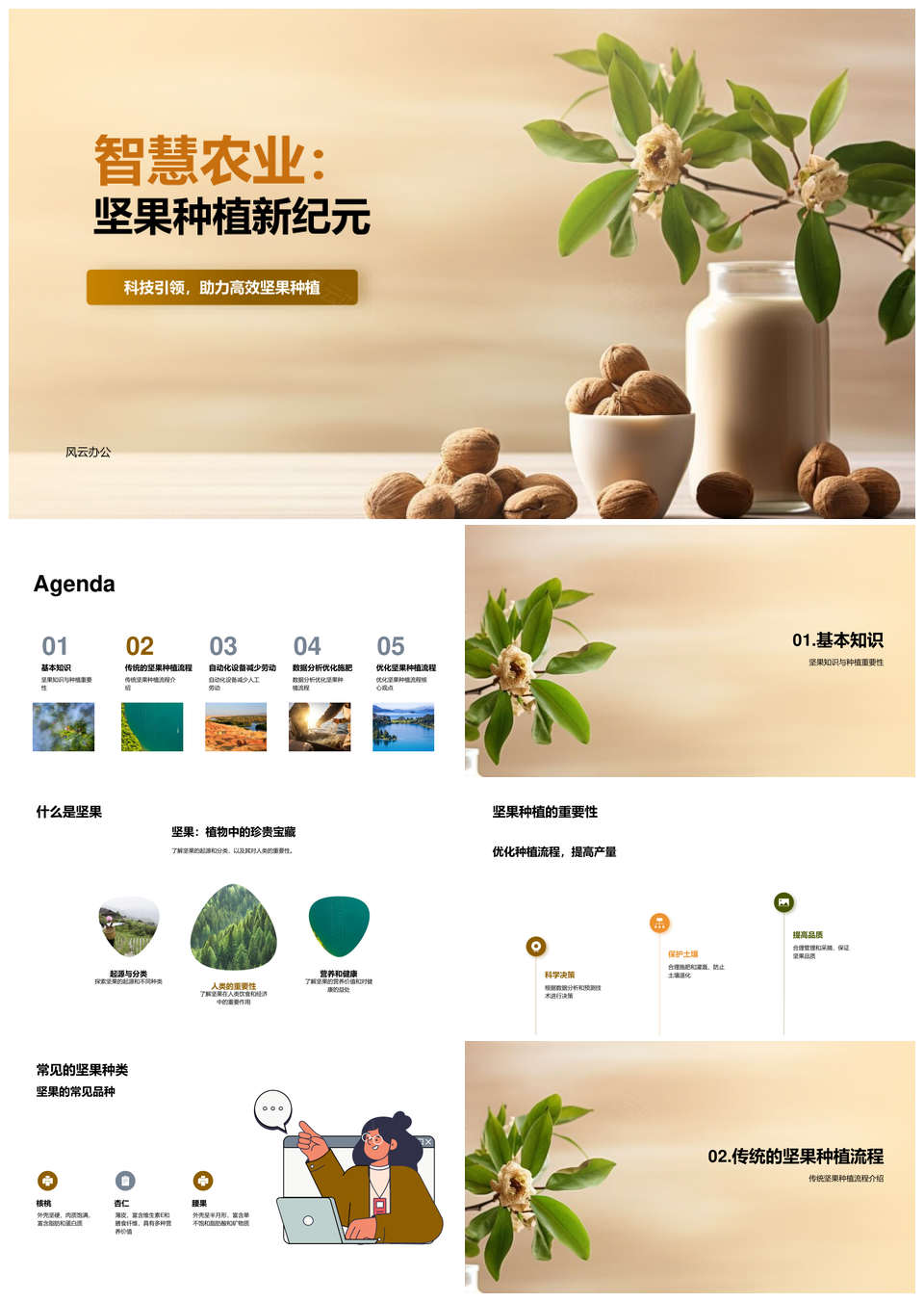 智慧农业峰会助推坚果种植优化PPT模板