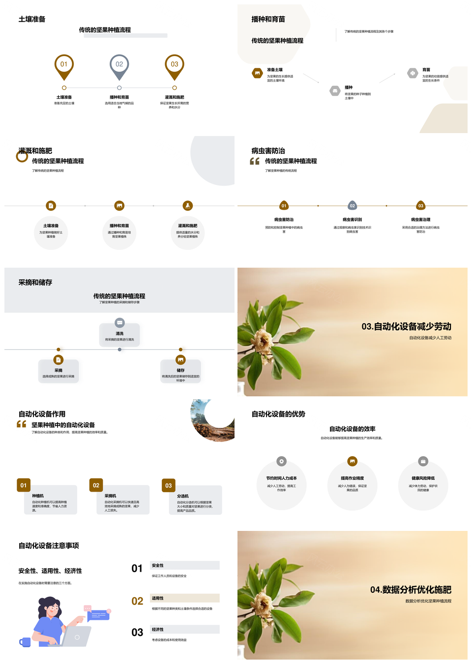 智慧农业峰会助推坚果种植优化PPT模板