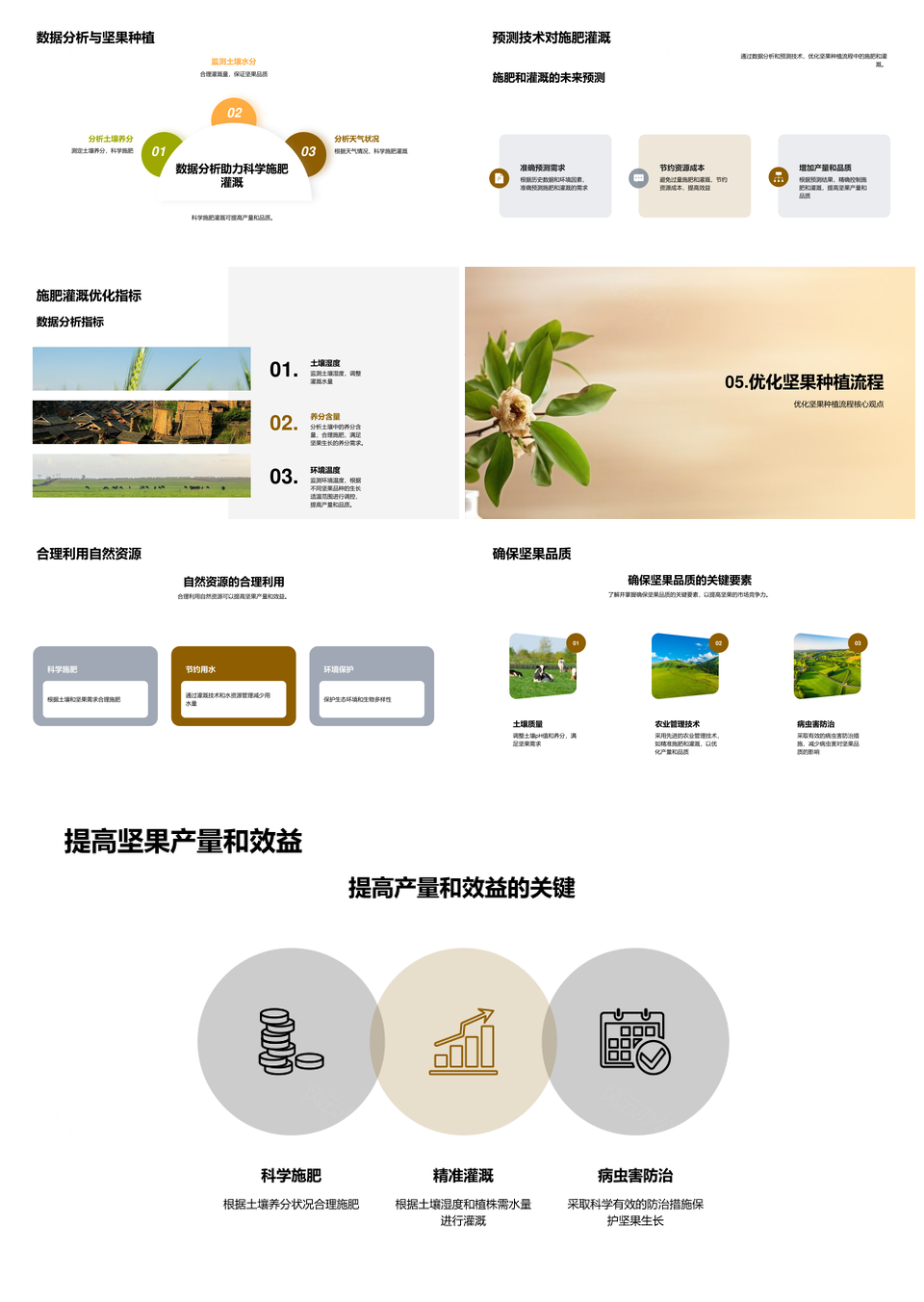 智慧农业峰会助推坚果种植优化PPT模板