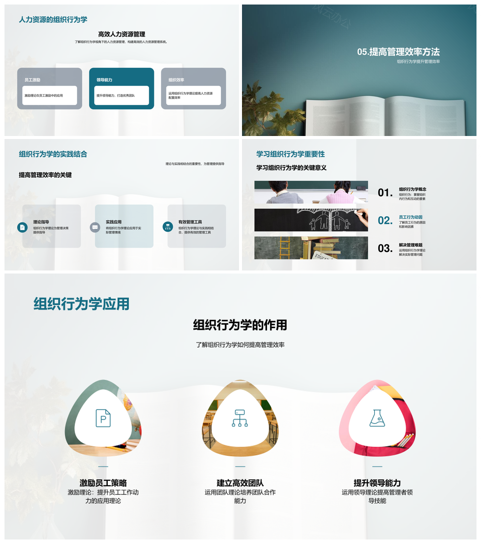 组织行为学理论实践管理应用提升效率PPT模板