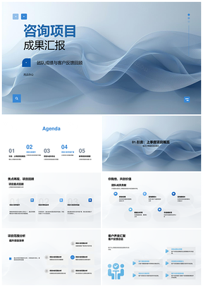 2025咨询成果团队增效降本扩市策略技术解析PPT模板