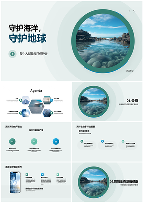 守护海洋生态健康亟需国际合作PPT模板