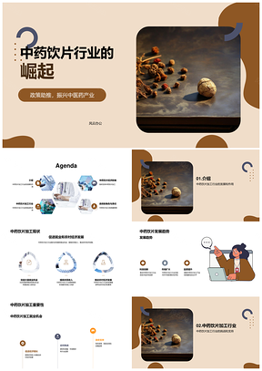 中药饮片经济崛起推动传统医药产业链稳定增长PPT模板