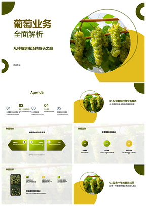 公司高层解析葡萄种植业务规模及市场份额PPT模板