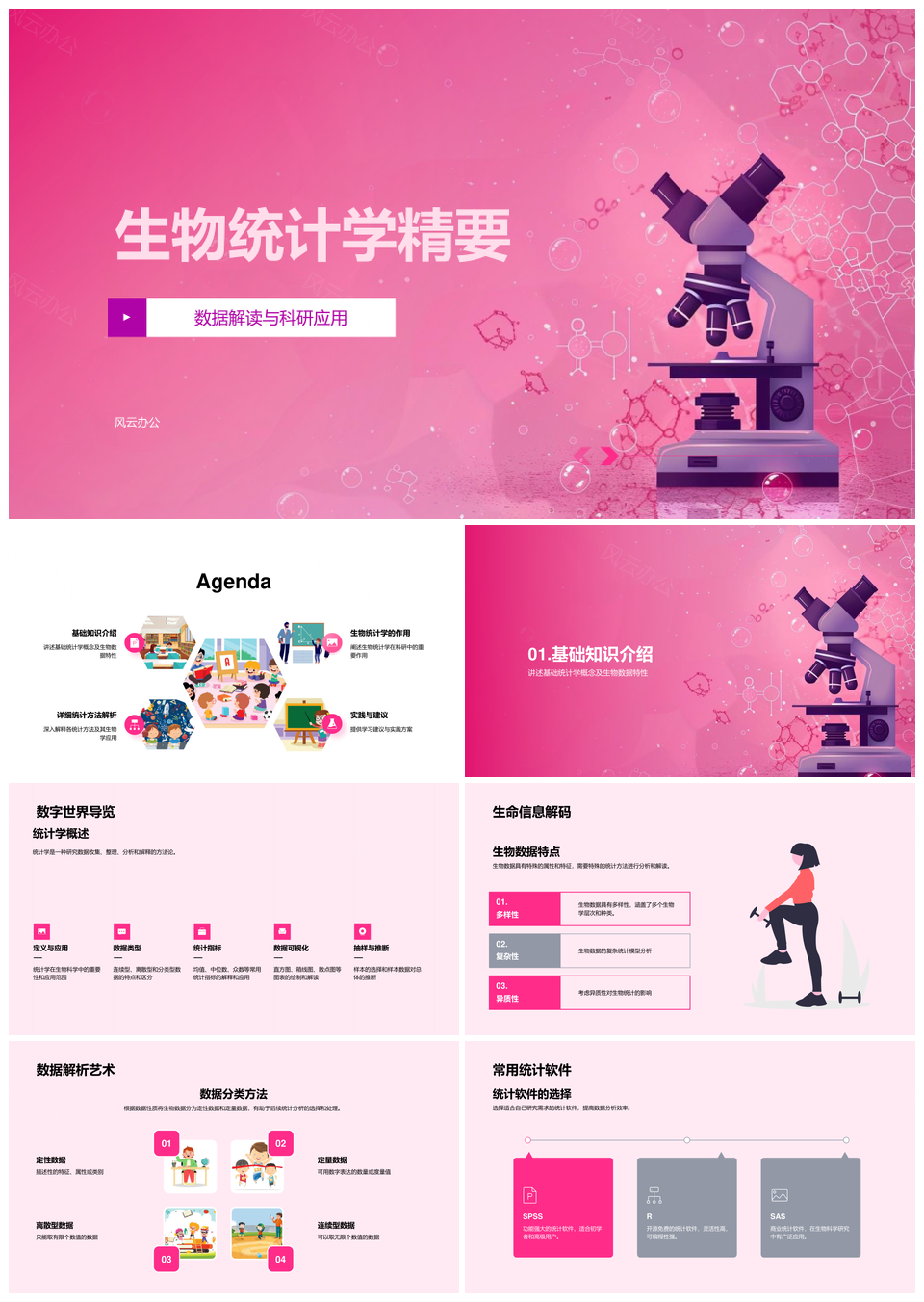 生物统计学软件数据分析模型检验PPT模板