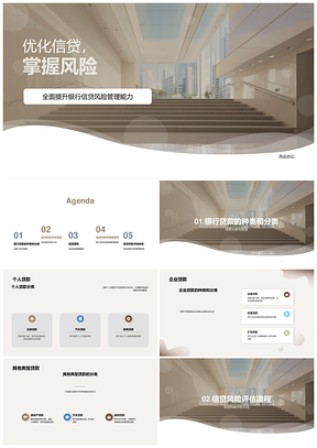 银行信贷个人企业贷款定性与定量风险评估流程优化PPT模板