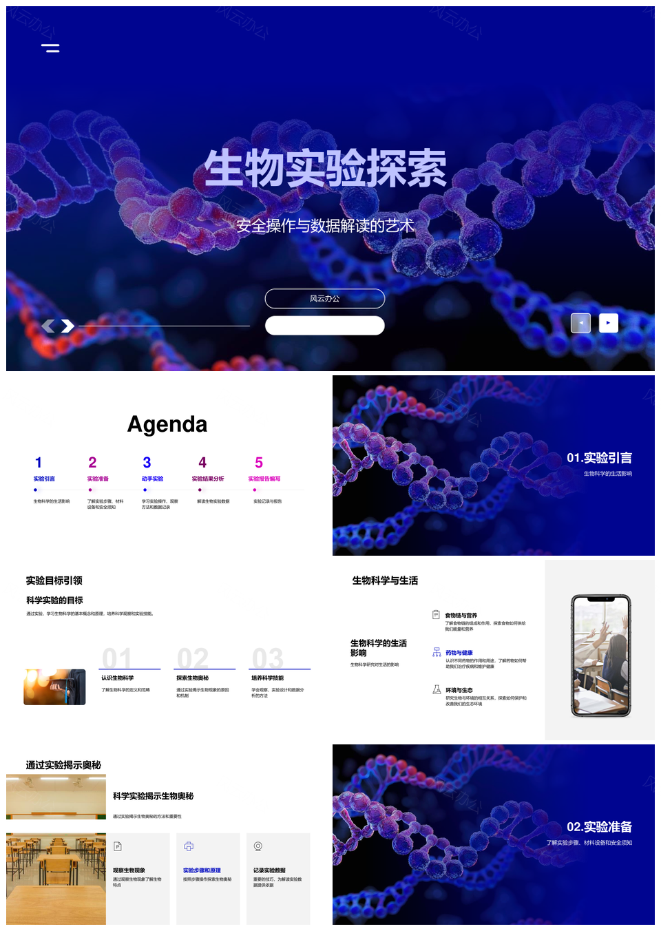 生物实验安全步骤与数据解析观察PPT模板