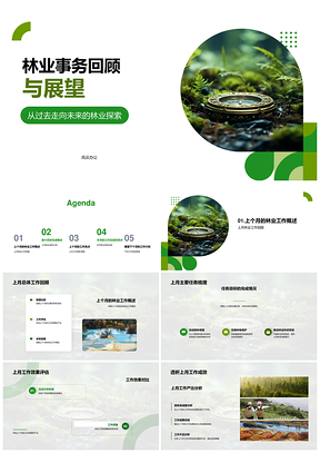 林业月度重大项目总结表彰与成功经验PPT模板