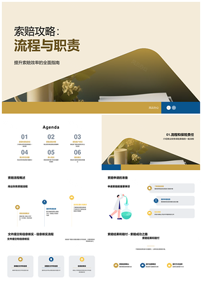 保险经纪服务索赔流程责任义务常见问题PPT模板