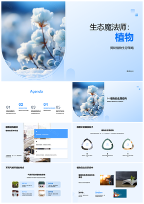 生态魔法师植物生存策略结构适应气候生态系统光合作用PPT模板