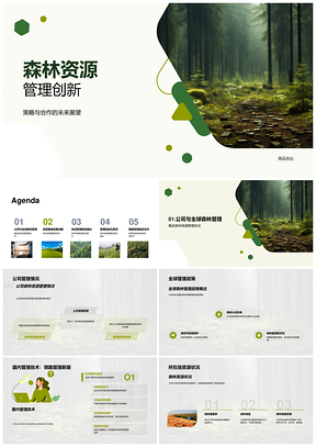 森林资源管理创新策略合作与政策技术支持PPT模板