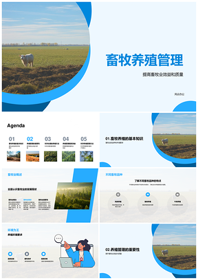 畜牧养殖增效提质品种环境管理改善PPT模板