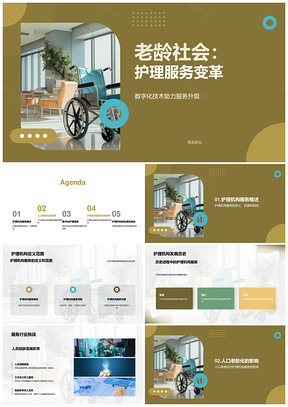老龄化护理机构数字化趋势挑战发展建议PPT模板