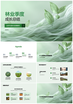 2025林业可持续发展海内外市场生态保护趋势PPT模板