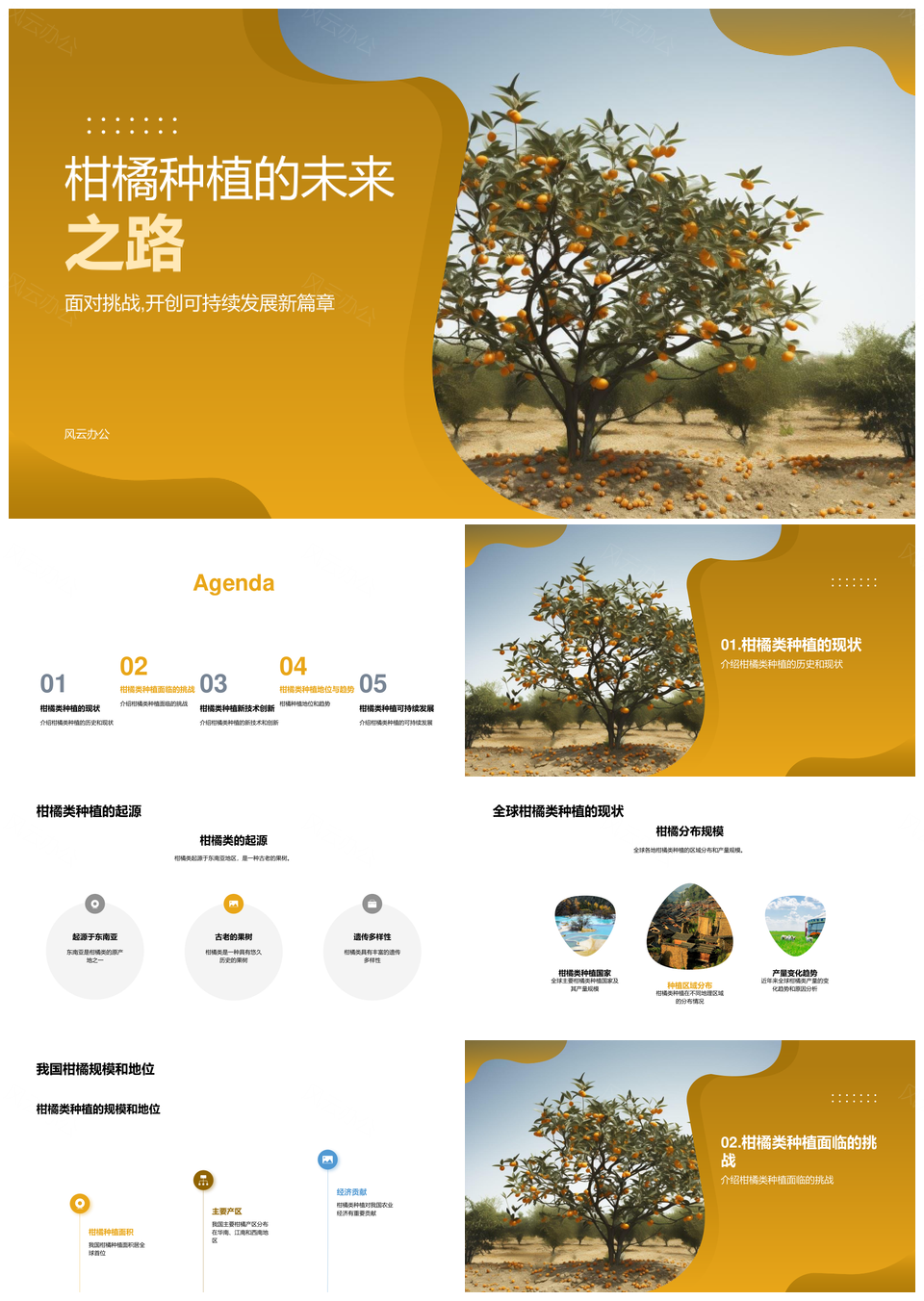 全球柑橘种植历史现状未来趋势PPT模板