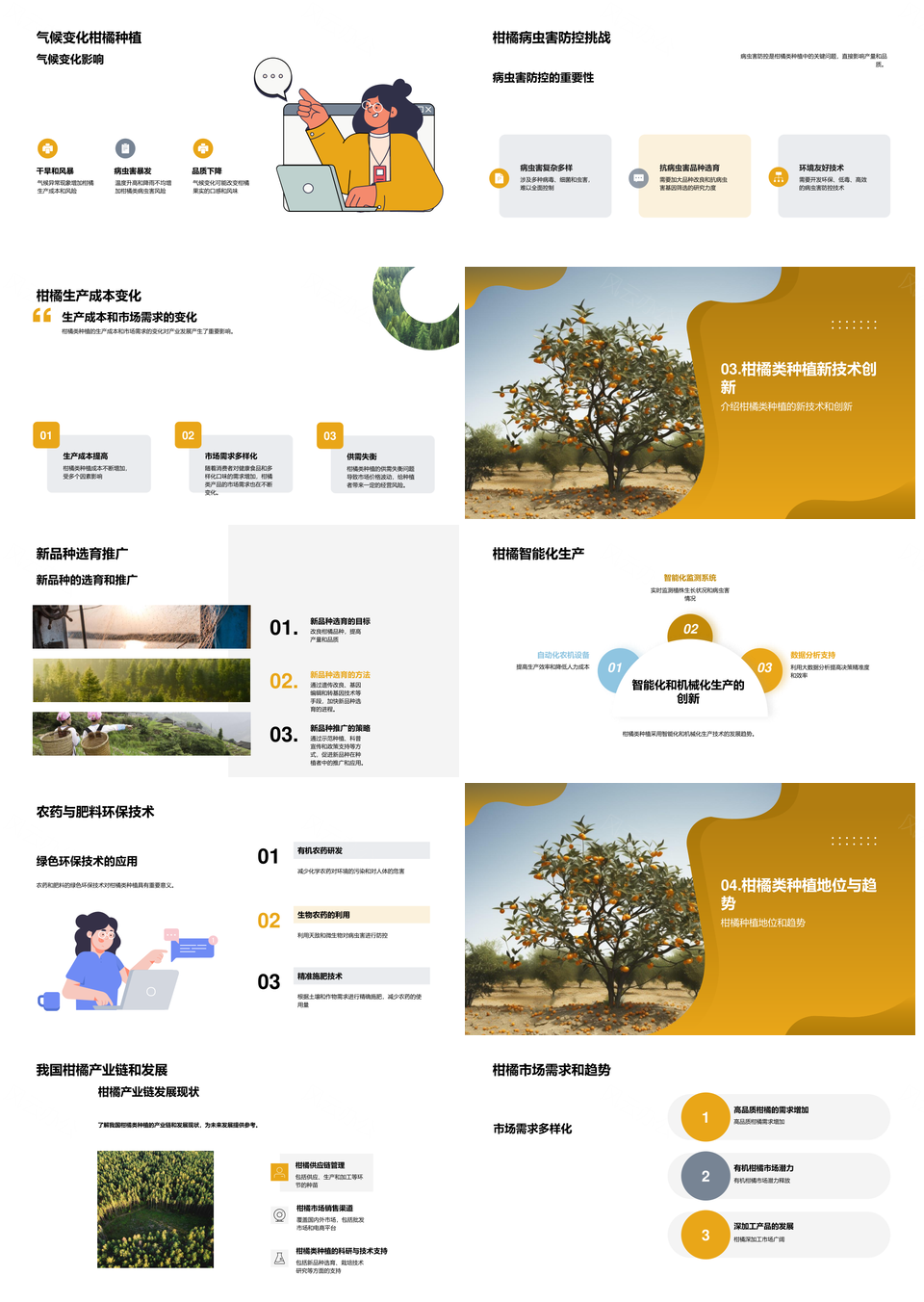 全球柑橘种植历史现状未来趋势PPT模板