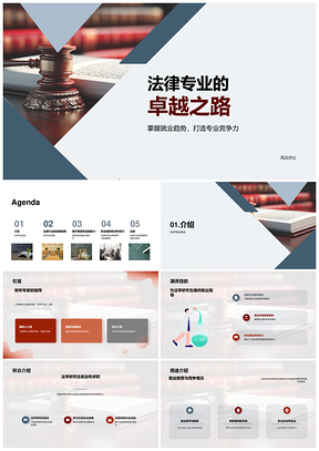 法学研究生职业发展与法律行业趋势PPT模板